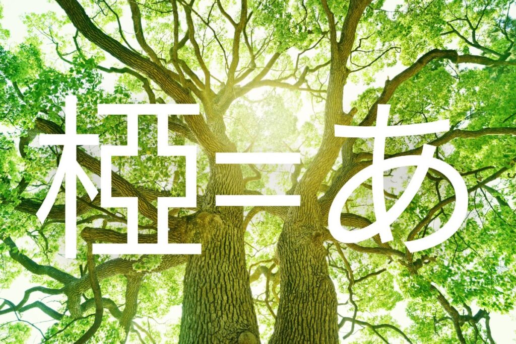 「椏」の読み方と意味