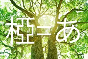 「椏」の読み方と意味