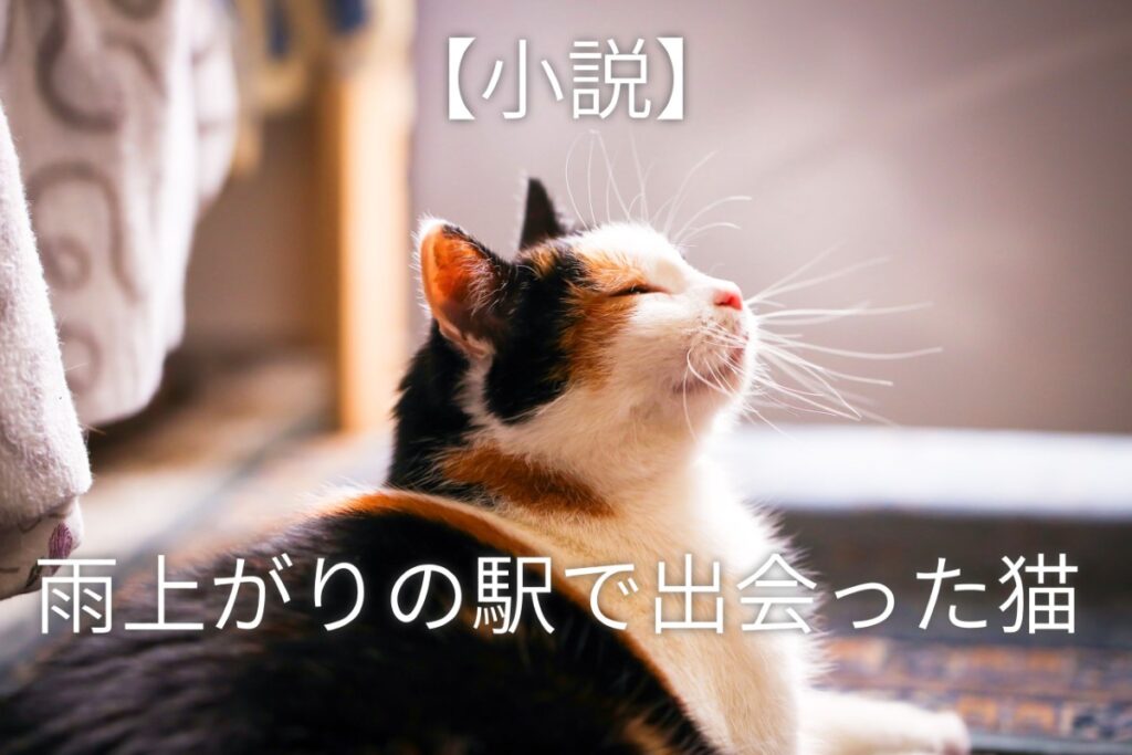 雨上がりの駅で出会った猫